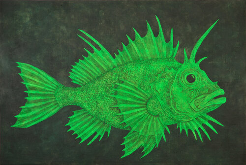 Green scorpionfish van Gian Luigi Delpin, Schilderij te koop op Singulart