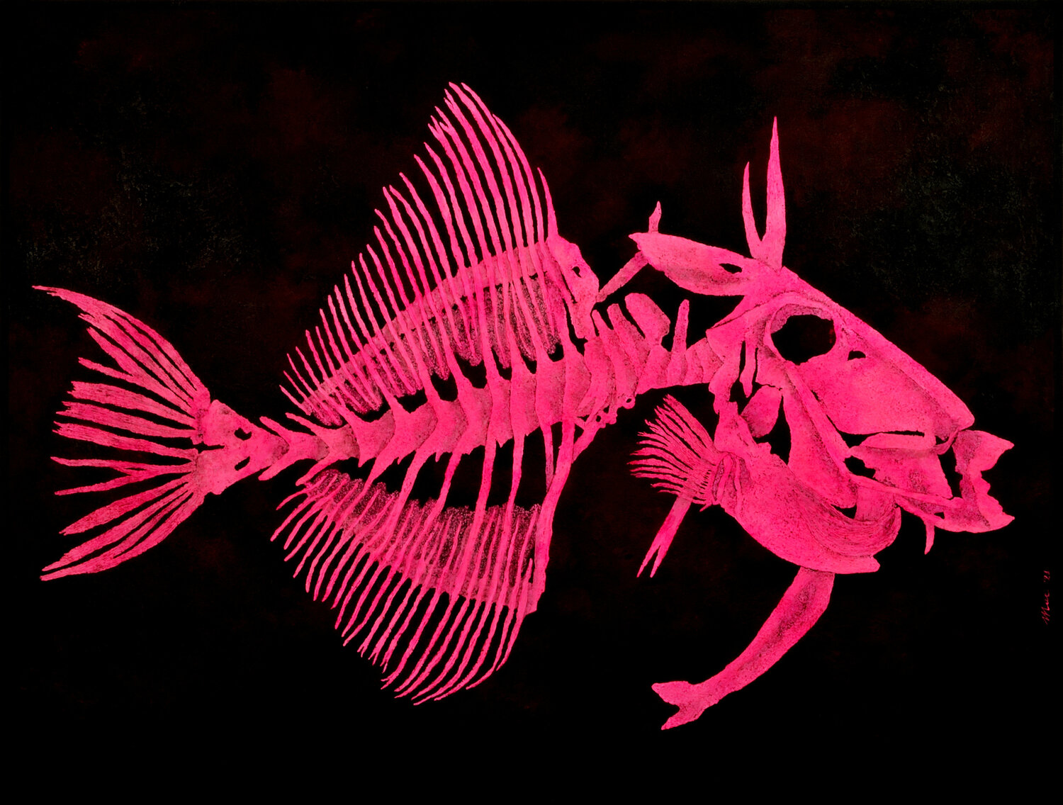 Plastic island fish Gian Luigi Delpin