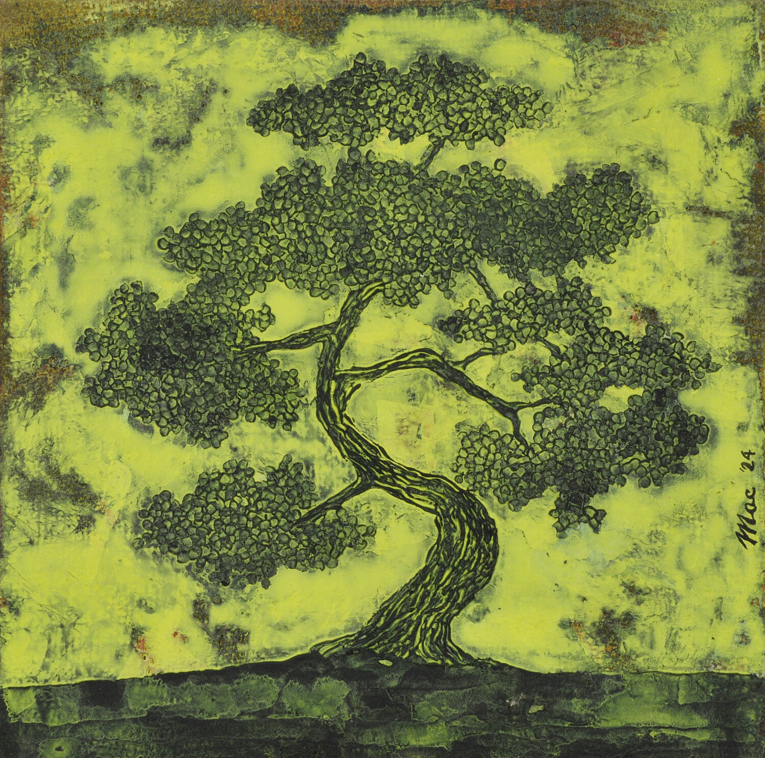 tree 6 Gian Luigi Delpin