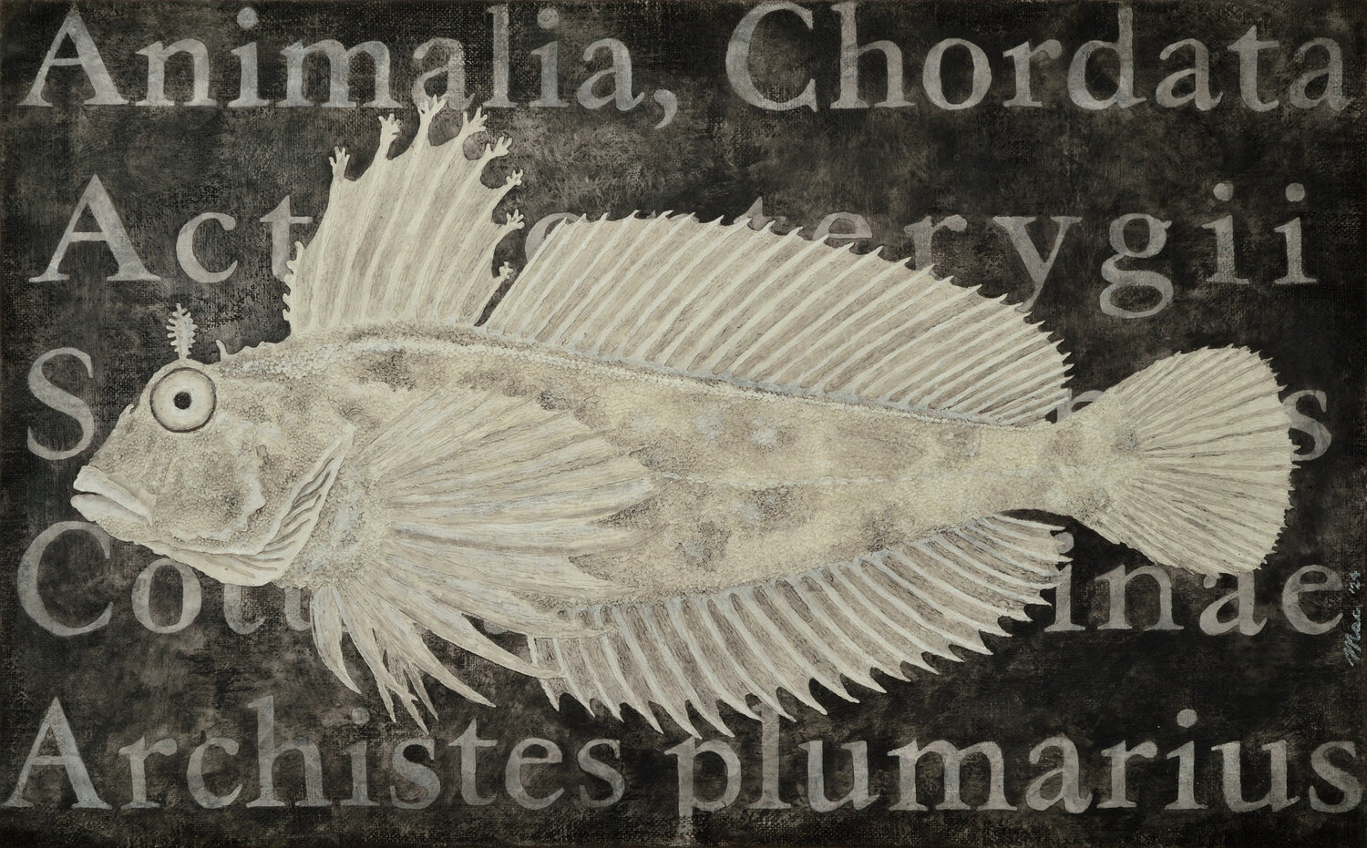 Taxonomic fish Gian Luigi Delpin