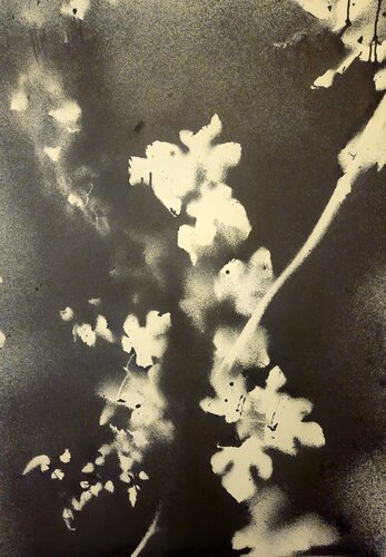 RF17 par Stefano Mazzolini, Œuvre sur papier en vente sur Singulart