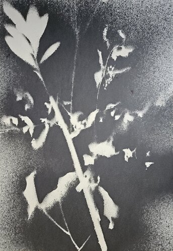 RF36 by Stefano Mazzolini, Work on Paper for Sale on Singulart