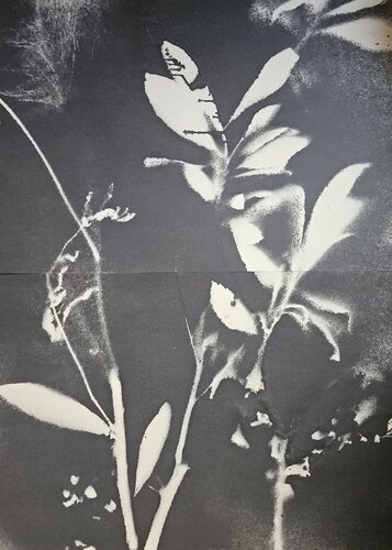 RF2930 by Stefano Mazzolini, Work on Paper for Sale on Singulart