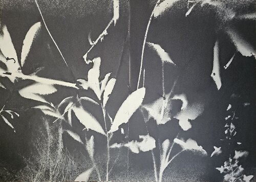 RF3132 van Stefano Mazzolini, Werk op papier te koop op Singulart