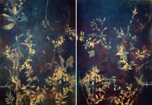 RF5556 by Stefano Mazzolini, Painting for Sale on Singulart