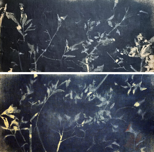 RF8182 Double-Sided van Stefano Mazzolini, Schilderij te koop op Singulart