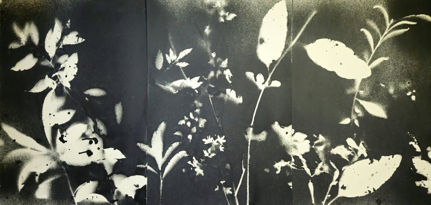 RF212223 Stefano Mazzolini