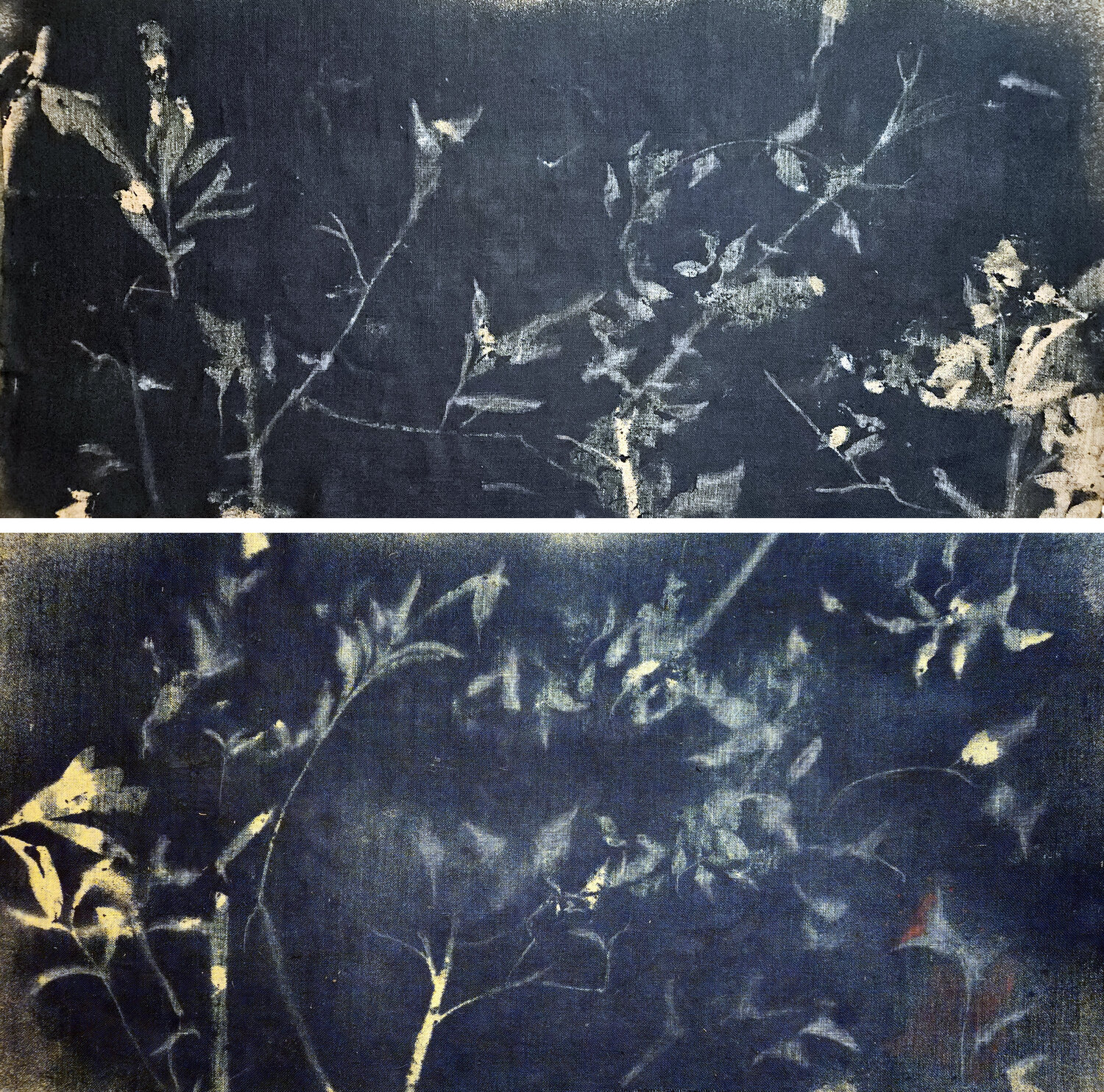 RF8182 Double-Sided Stefano Mazzolini