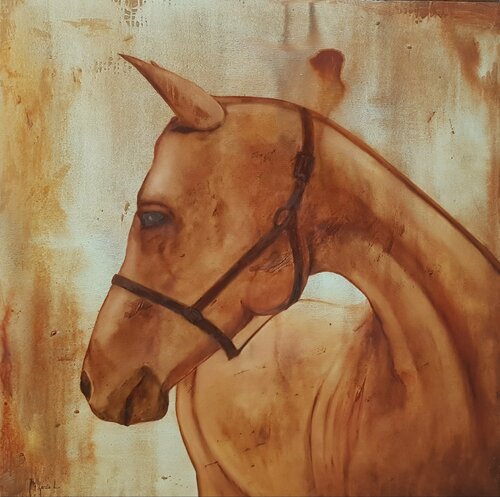 Caballo Árabe Miguel Ángel García López
