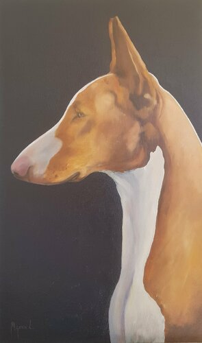 Podenco ibicenco de noche de Miguel Ángel García López, Pintura a la venta en Singulart