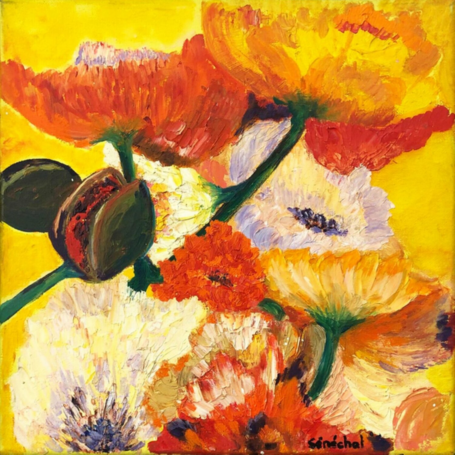 Boutons d'or Catherine Sénéchal