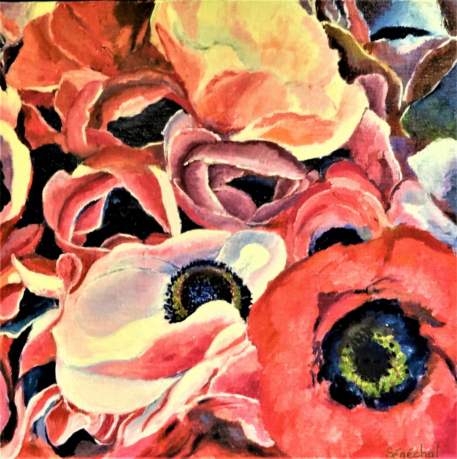 Anémones Catherine Sénéchal