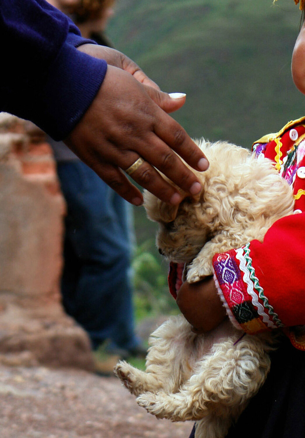 Tierfotografie kaufen - SINGULART, image size:1045x1500