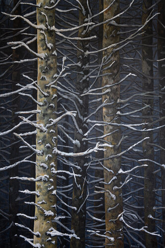 Bosco d'Inverno von Piero Casarin, Malerei kaufen auf Singulart