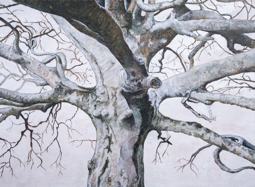 Faggio di Piero Casarin, Pittura in vendita su Singulart