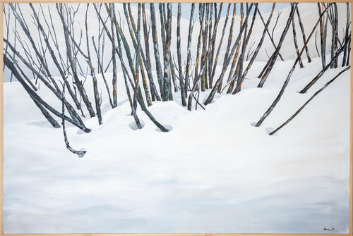 Noccioli tra la neve Piero Casarin