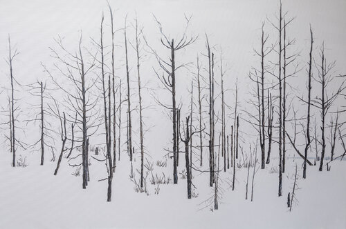 L'Inverno by Piero Casarin, 油畫 for Sale on Singulart
