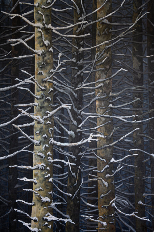 Bosco d'Inverno Piero Casarin