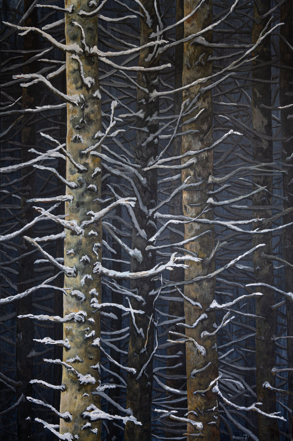 Bosco d'Inverno Piero Casarin