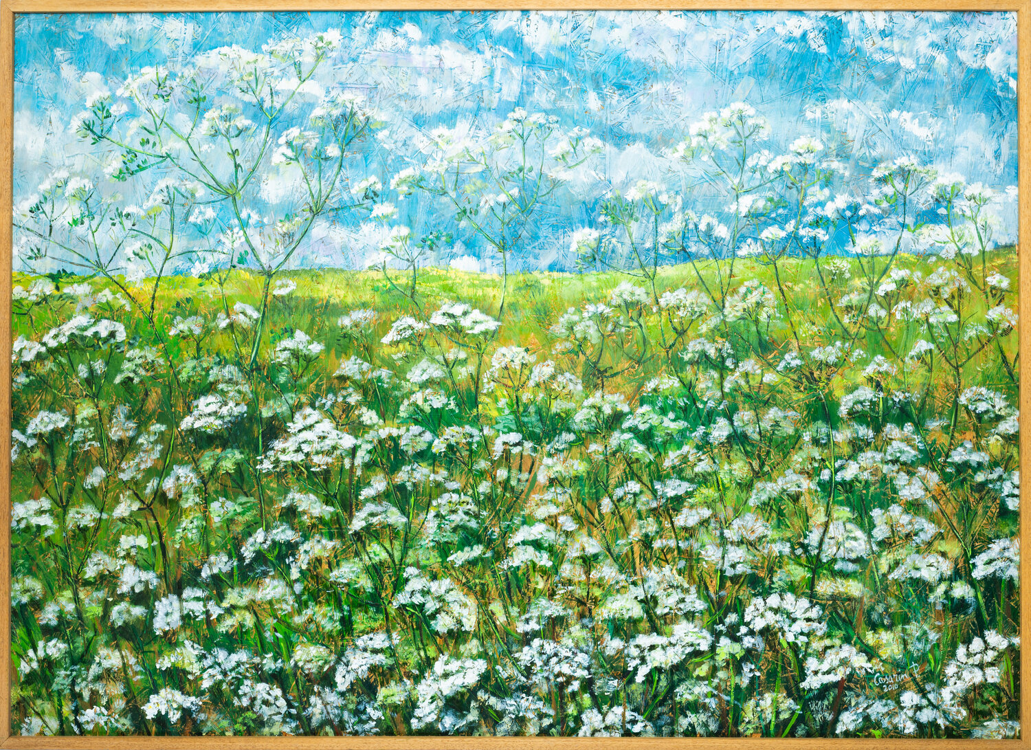 Cumino dei prati Piero Casarin