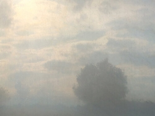 the tree in a mirror van Per Gulden, Afdruk te koop op Singulart