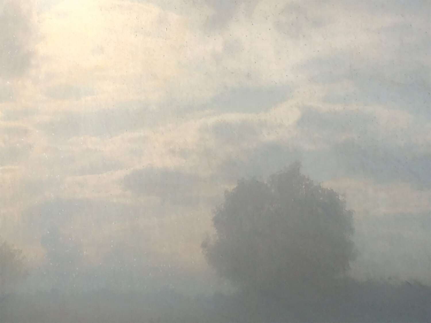 the tree in a mirror Per Gulden