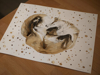 Coffee fox Oleksii Gnievyshev