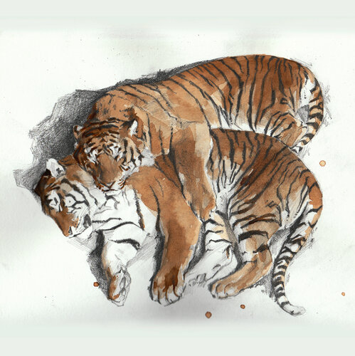 Coffee tigers par Oleksii Gnievyshev, Dessin en vente sur Singulart