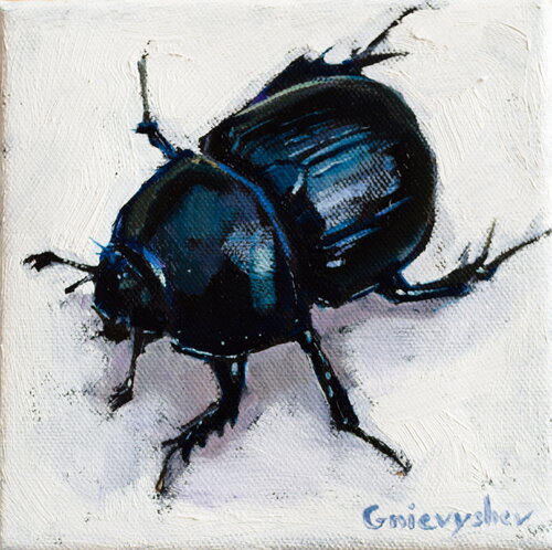 Scarab Oleksii Gnievyshev