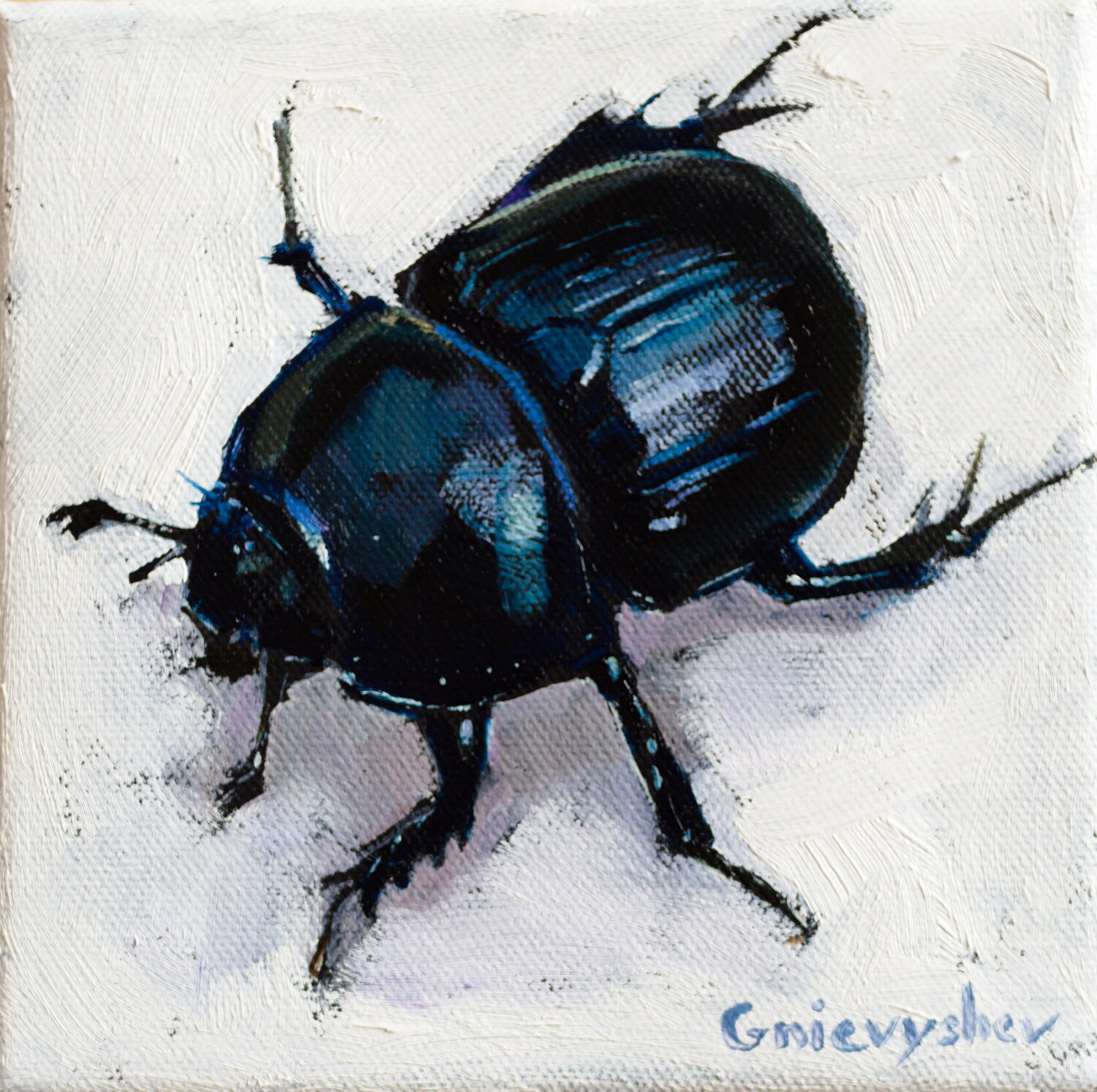 Scarab Oleksii Gnievyshev