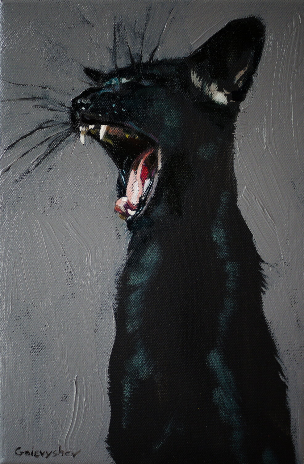 Black Cat Oleksii Gnievyshev