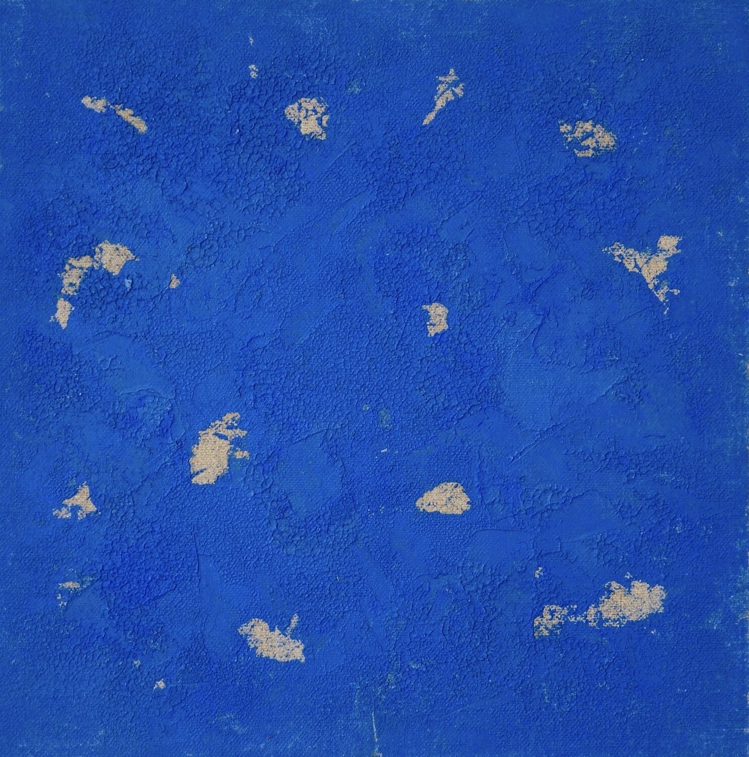 Zeitlose Schönheit Thomas Peter Kausel