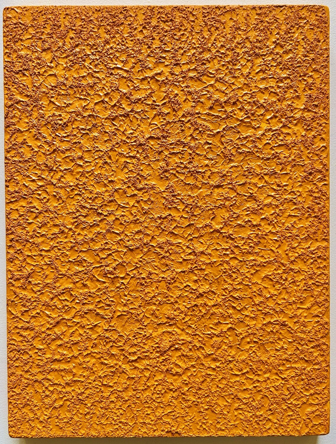 Sonnenblumen Thomas Peter Kausel