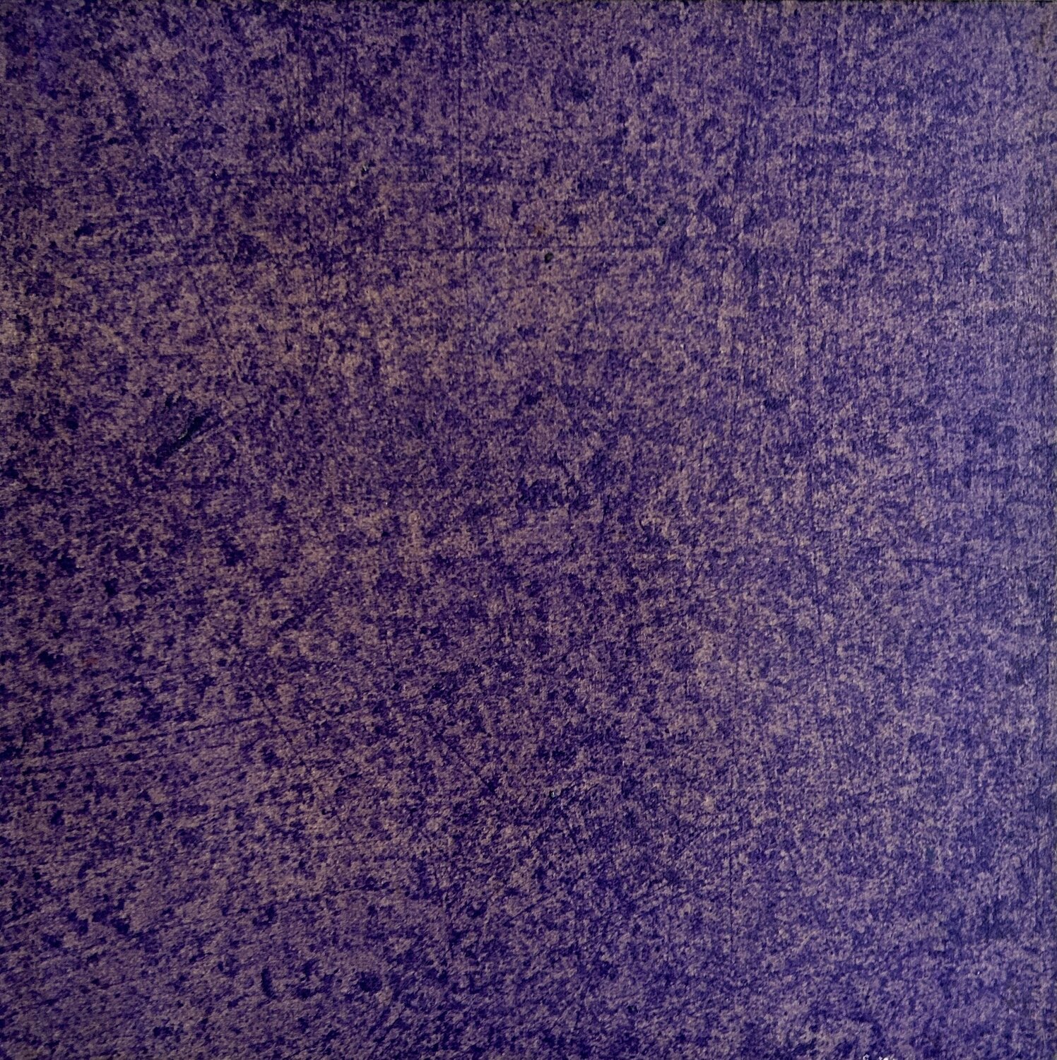 Blütenzauber violet 15 Thomas Peter Kausel