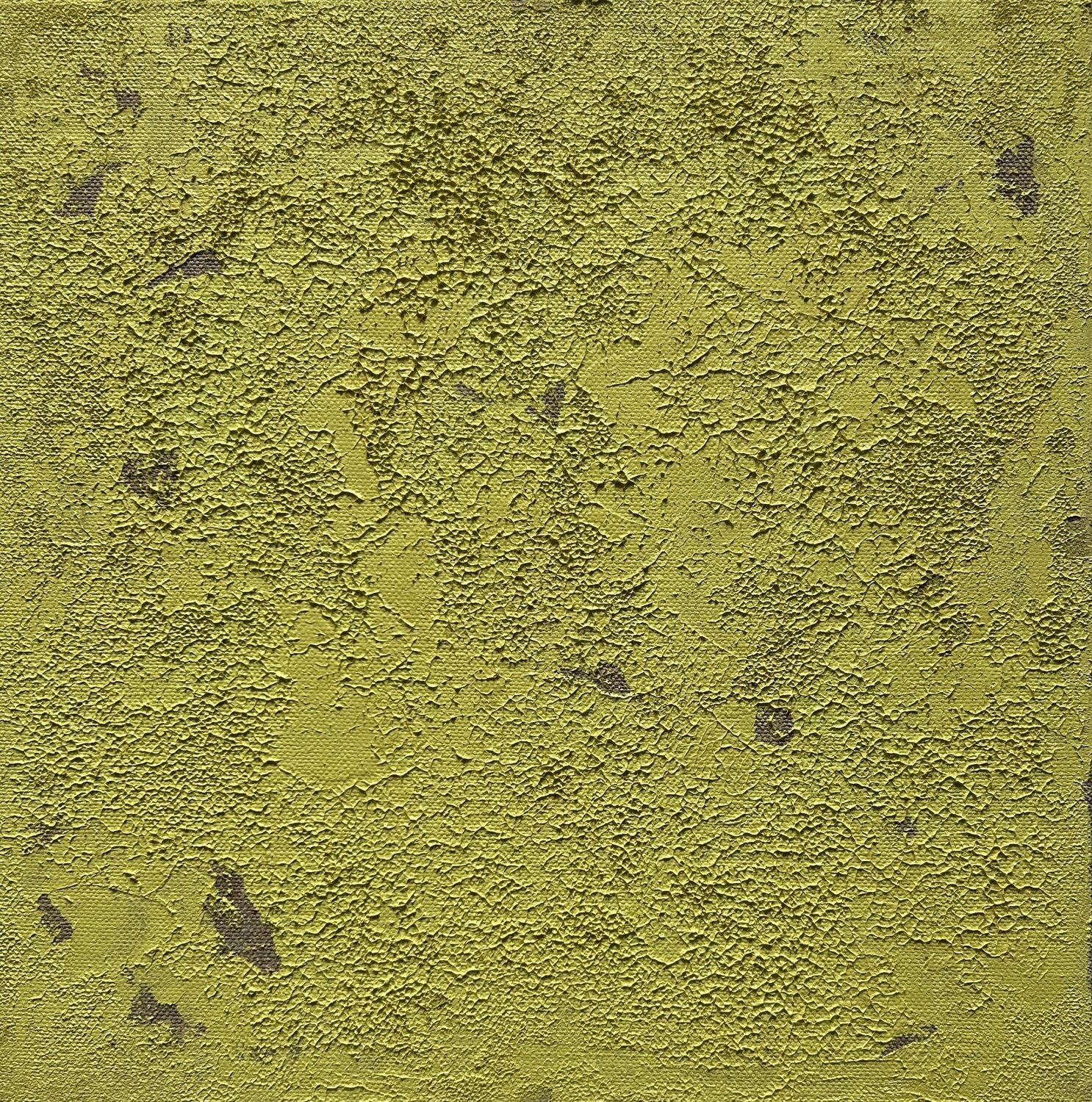 Blütenzauber Thomas Peter Kausel