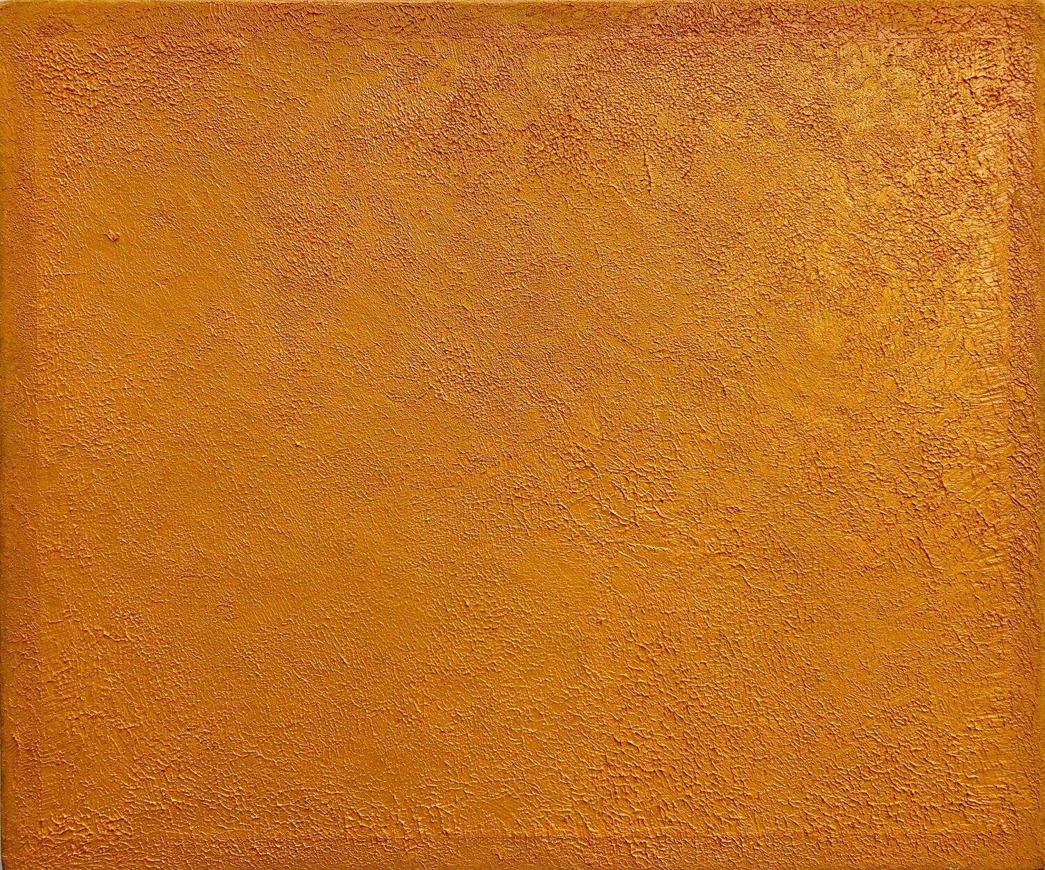 Hommage to Arles. Sonnenblumenfelder. Thomas Peter Kausel