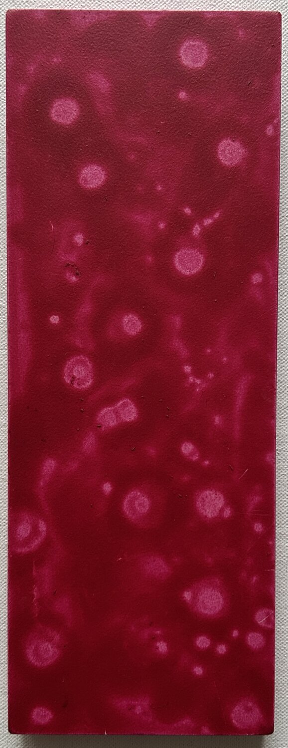 Hauch der Geborgenheit Thomas Peter Kausel