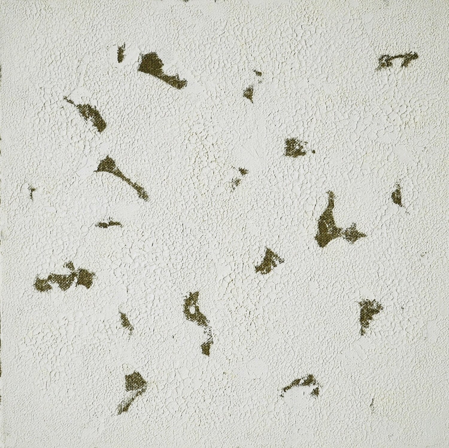 Schnee Thomas Peter Kausel