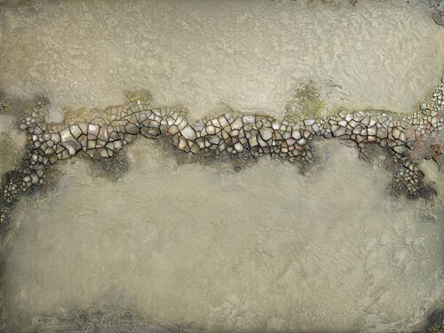 Wandering pearl Abbey Stace