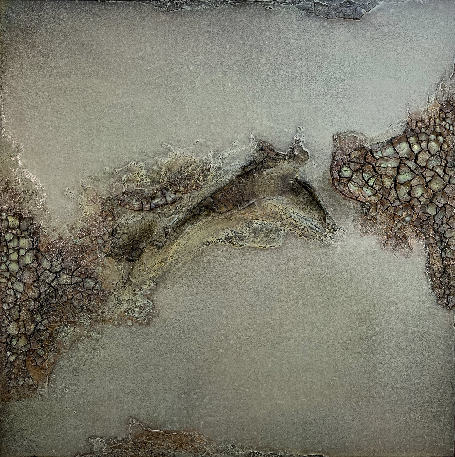 Scylla Abbey Stace