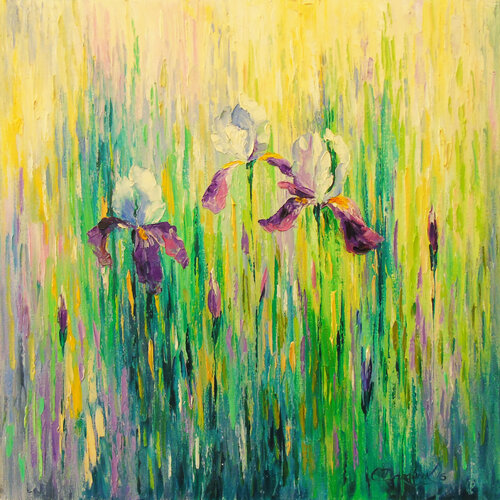 Irises in a field Olha Darchuk