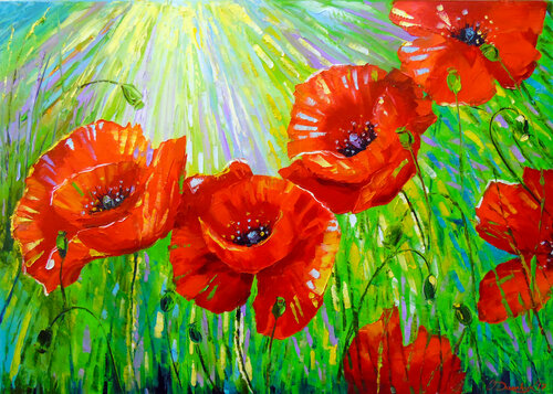 Poppies in the sunlight van Olha Darchuk, Schilderij te koop op Singulart