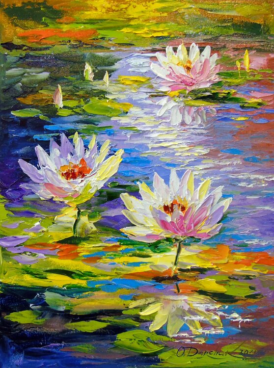 Water lilies in the pond Olha Darchuk