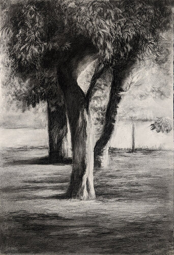 GRIETA DOS von Elena Martí Zaro, Zeichnungen kaufen auf Singulart