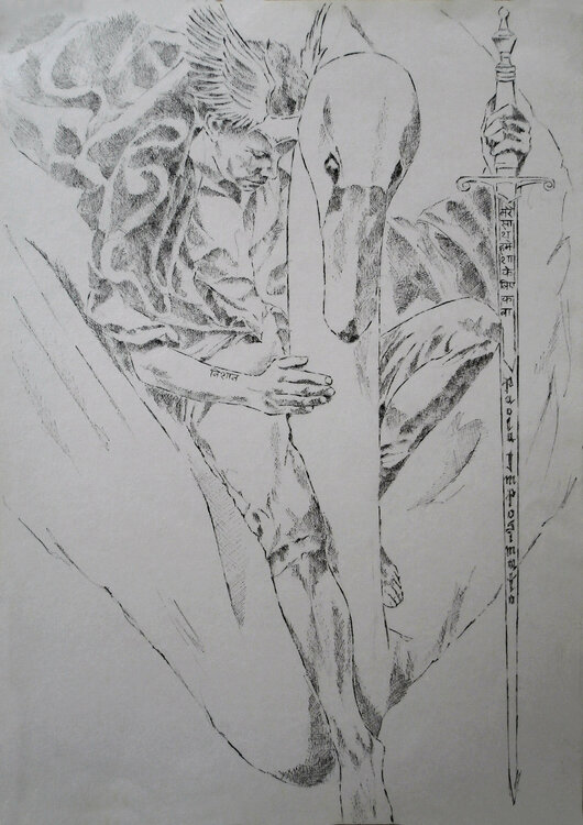 IL CAVALIERE DEL SANTO GRAAL Paola Imposimato
