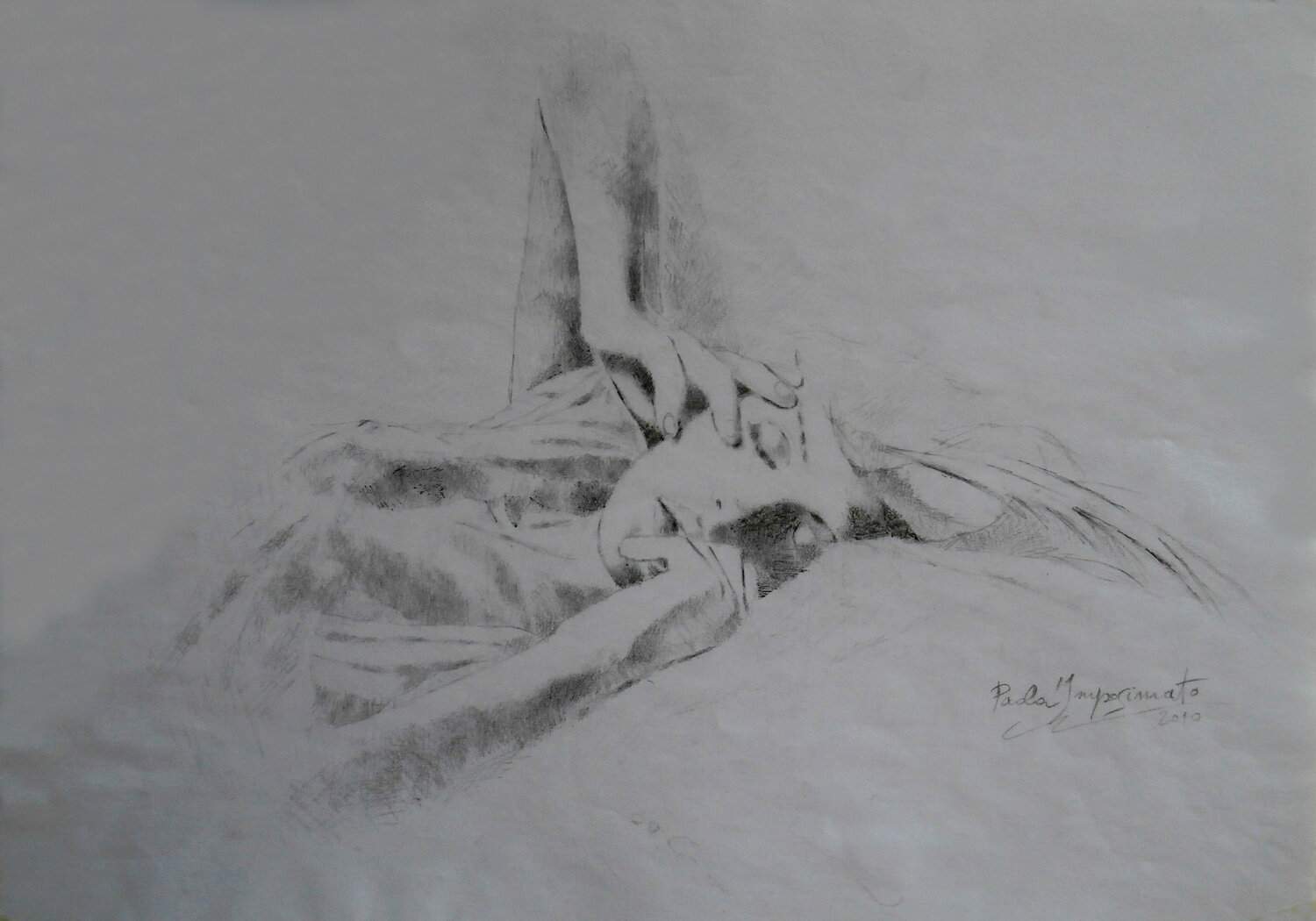 TRA SONNO E TORPORE Paola Imposimato