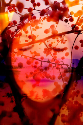 EOS, 75x 50 cm Fine Art Print # 2/9 (2024) by Nabiha & Thom Unity Art, 사진 for Sale on Singulart