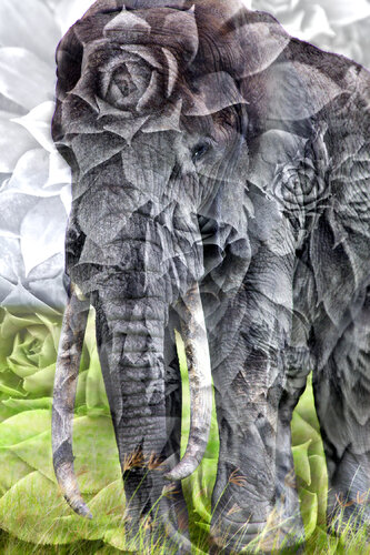 LORD OF OBSTACLES, 75 x 50 cm, # 4/9 by Nabiha & Thom Unity Art, 사진 for Sale on Singulart