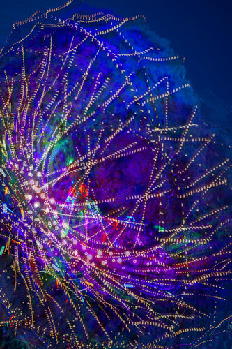 Doors of Perception # 0504, 2022 by Nabiha & Thom Unity Art, 사진 for Sale on Singulart