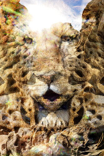 LION,  Fine Art Print # 1/5 (2024) by Nabiha & Thom Unity Art, 사진 for Sale on Singulart